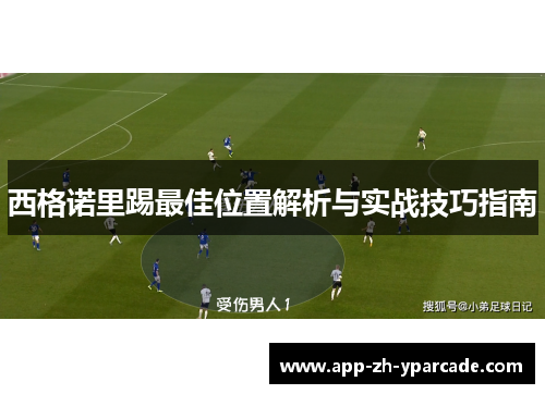 西格诺里踢最佳位置解析与实战技巧指南