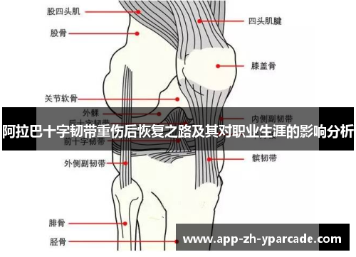 阿拉巴十字韧带重伤后恢复之路及其对职业生涯的影响分析