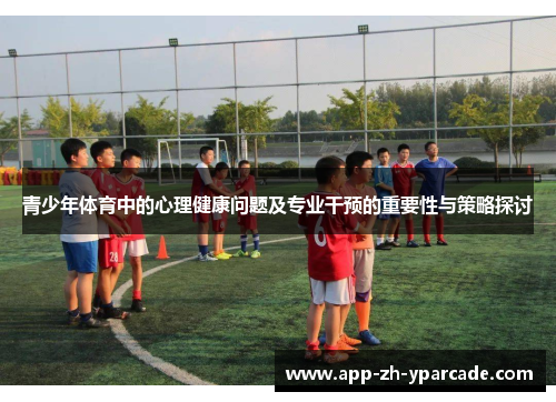 青少年体育中的心理健康问题及专业干预的重要性与策略探讨