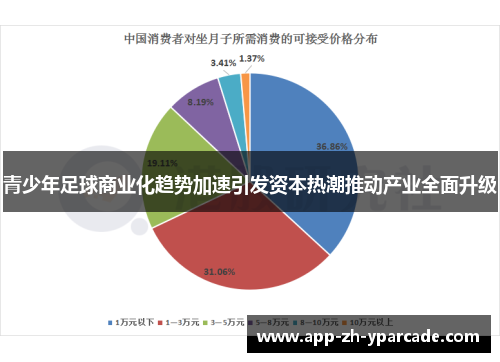 青少年足球商业化趋势加速引发资本热潮推动产业全面升级